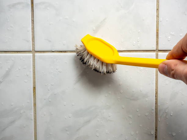 Best Affordable Mold Removal  in Spearman, TX