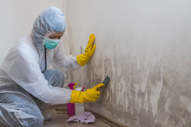 Best Water Damage Restoration  in Spearman, TX