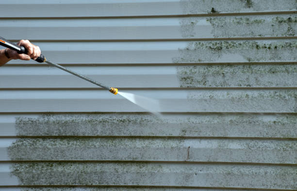 Best Home Mold Removal  in Spearman, TX