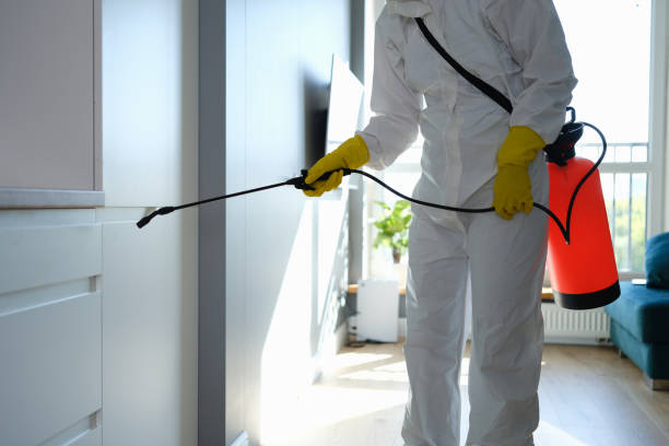 Best Mold Testing  in Spearman, TX