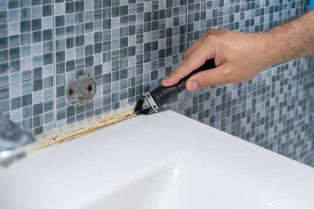 Mold Testing and Removal in Spearman, TX