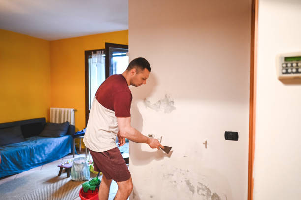 Best Attic Mold Removal  in Spearman, TX