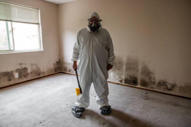 Best Commercial Mold Removal  in Spearman, TX