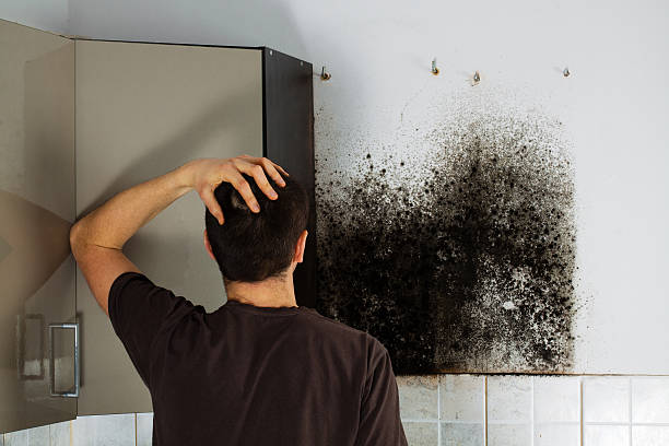 Best Residential Mold Removal  in Spearman, TX